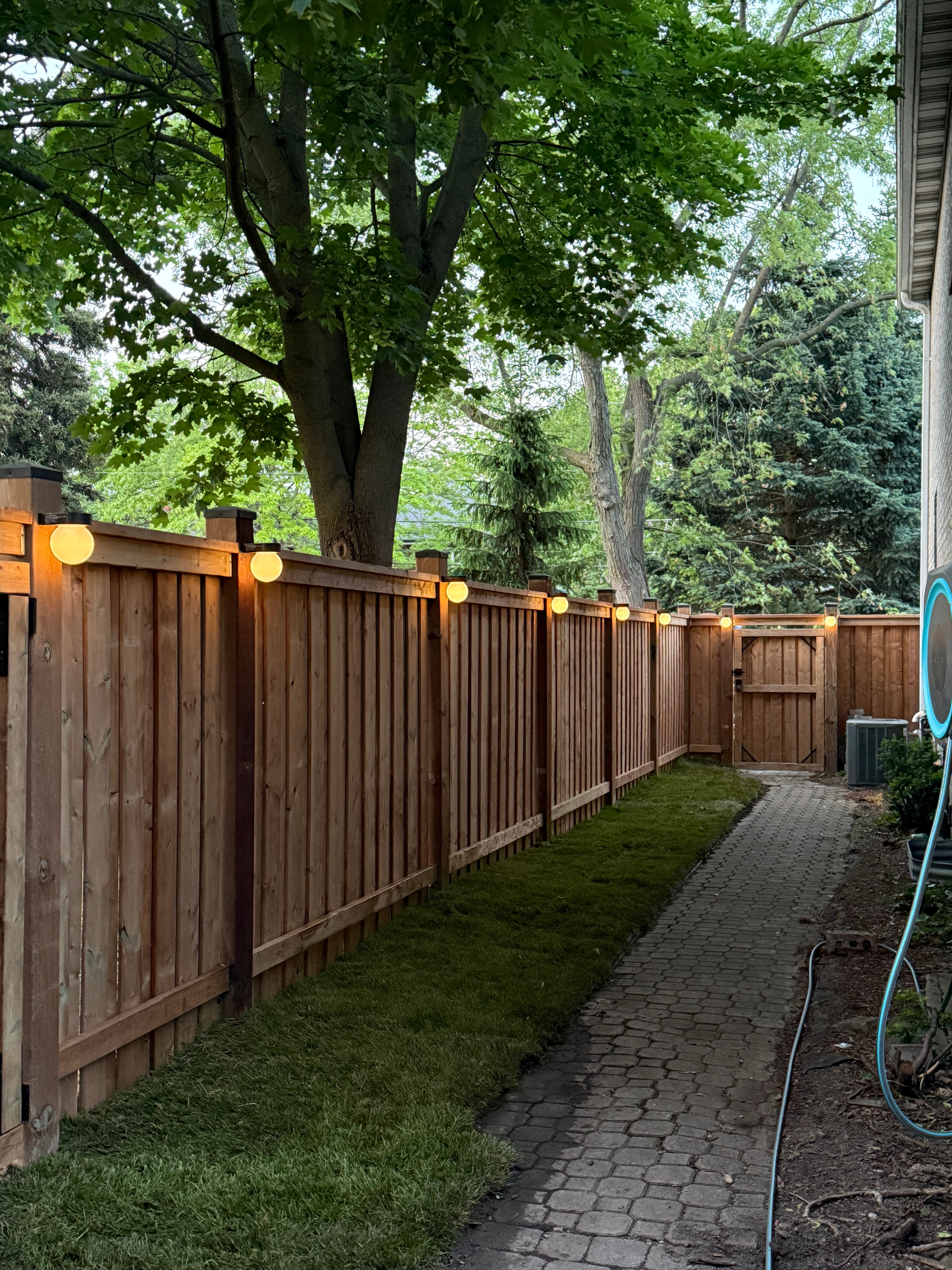 Illuminated Pressure-Treated Privacy Fence